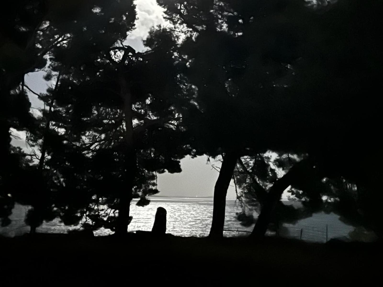 Meje Seafront